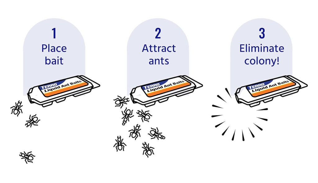 Terro T300 liquid ant baits best ant killer traps
