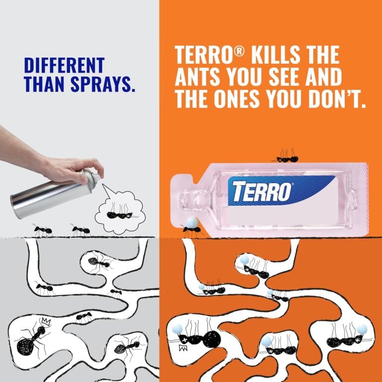 Terro T300 liquid ant baits best ant killer traps