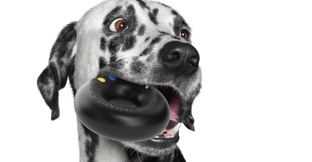 Best Dog Toys For Aggressive Chewers Goughnuts indestructible dog chew toy for aggressive chewers