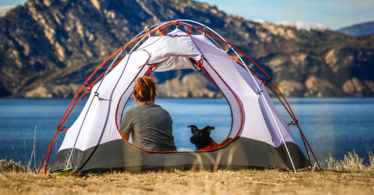 best tents for camping with dogs dog camping in tent overlooking beautiful mountains and lake