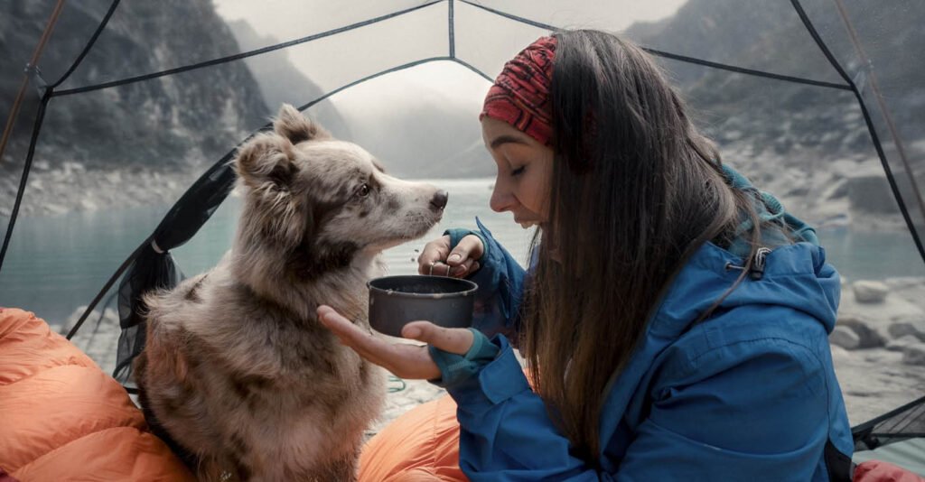 best tents for dogs woman and her dog enjoying nature in camping tent